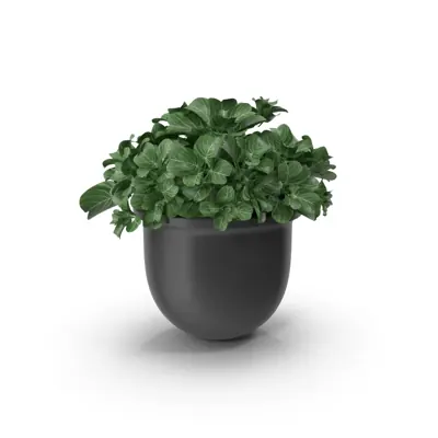 Pot de fleurs design